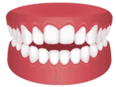 /static/3aae2c3a31149b54526dc3f2b387daec/ccc4c/alignerbase-home-service-img-6.png